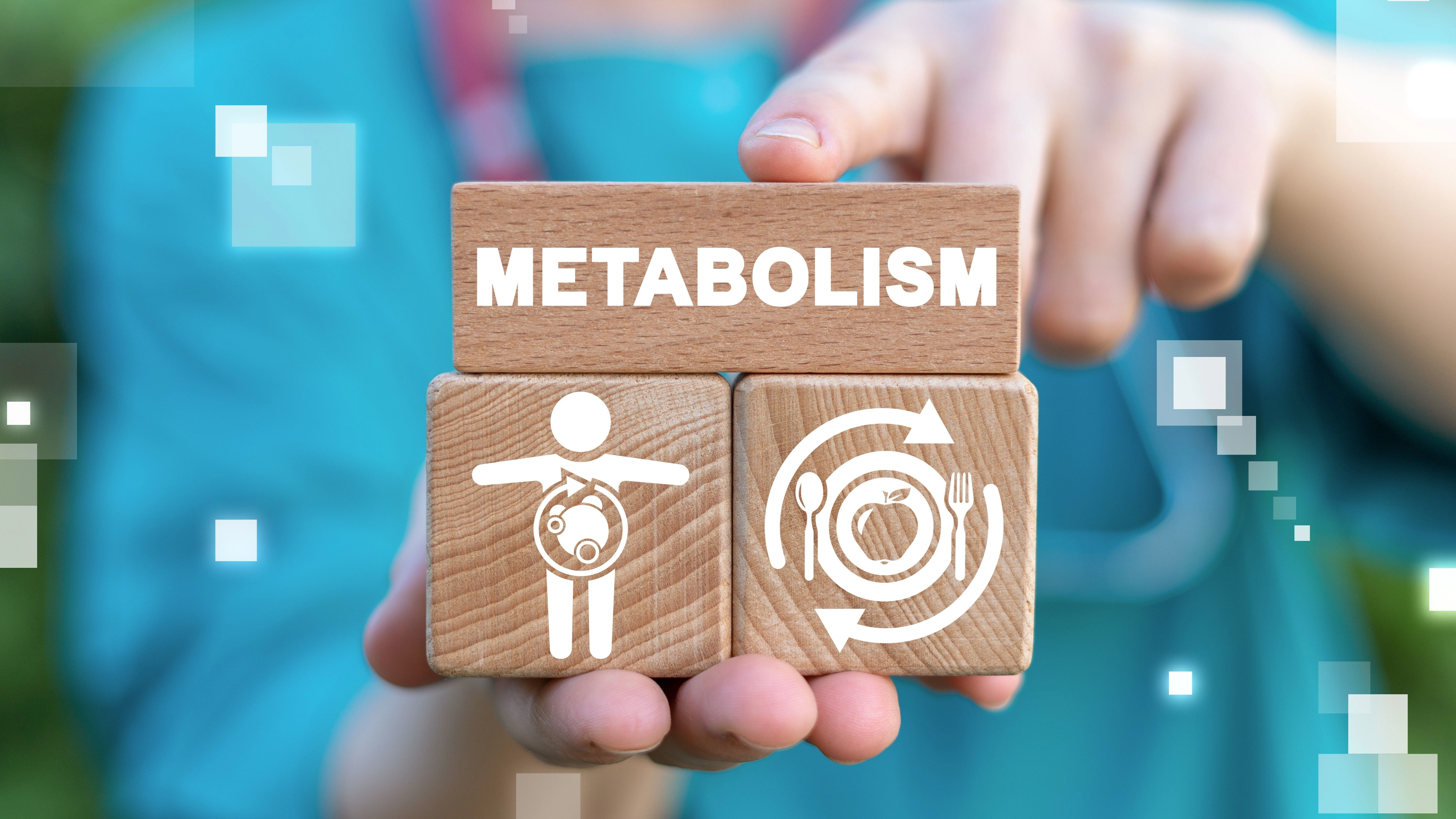 reduce metabolism 